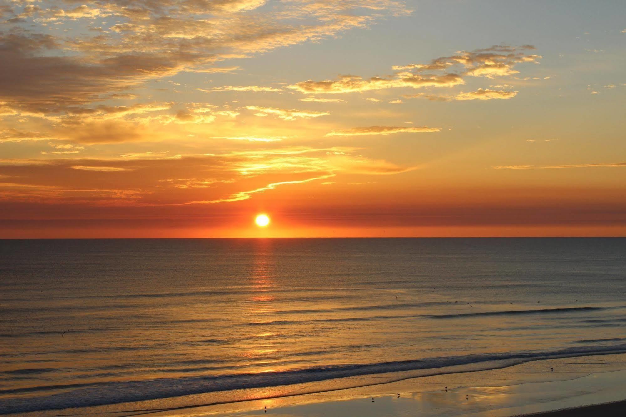 Sea Club IV Resort Daytona Beach Shores ภายนอก รูปภาพ